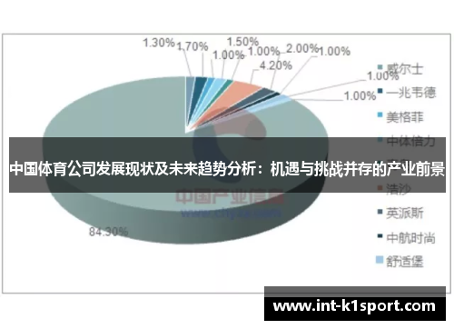 中国体育公司发展现状及未来趋势分析：机遇与挑战并存的产业前景